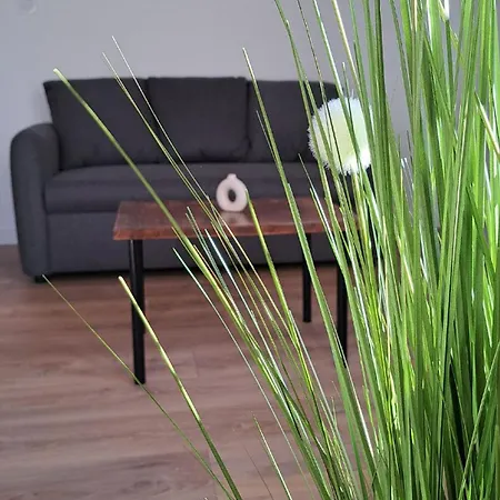 Les Cles Du Clocher *