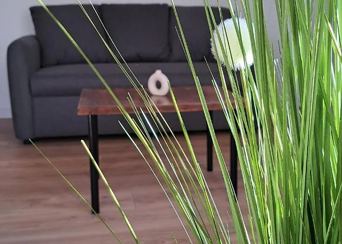 Apartment Les Cles Du Clocher *